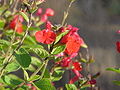 Thumbnail for version as of 09:22, 29 April 2025