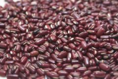 Harvested Vigna Umbellata beans
