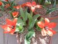 Thumbnail for version as of 09:03, 29 April 2025