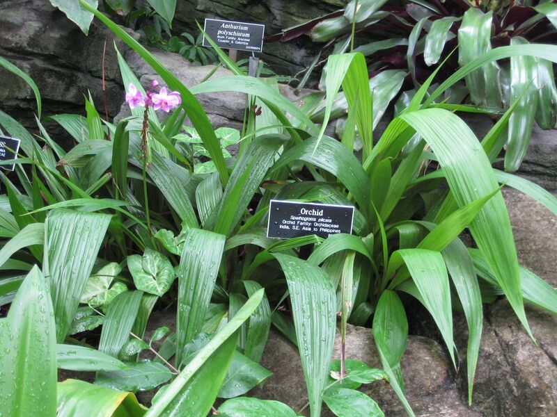 File:1280px-IMG 0942 bbg09.jpg