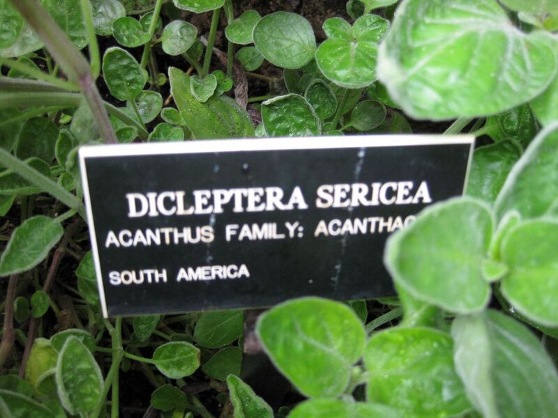 File:1280px-IMG 1243 bbg09.jpg