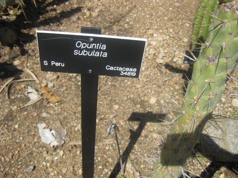 File:1280px-IMG 2398 hunt0903.jpg