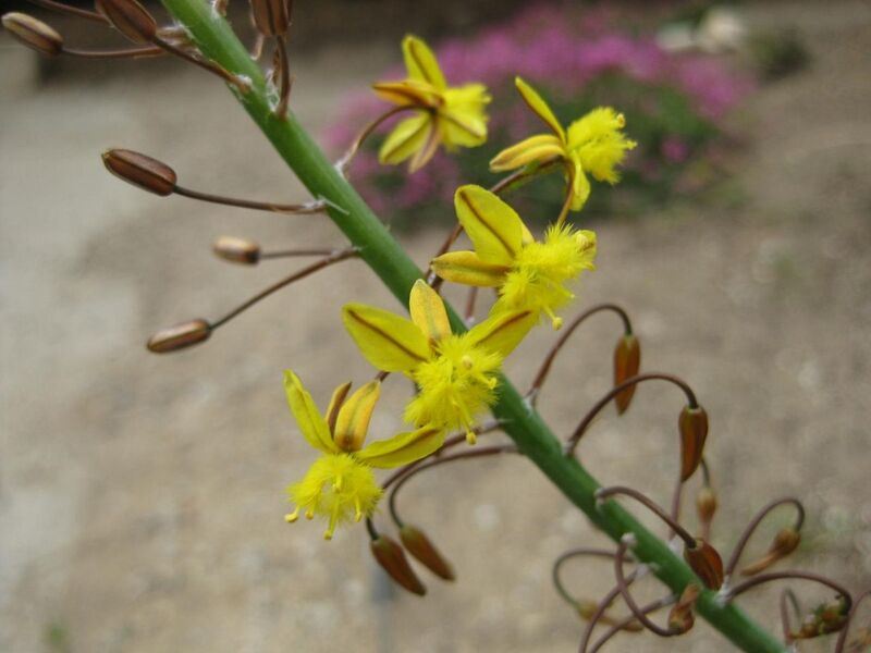 File:1280px-IMG 4905 hunt0904.jpg