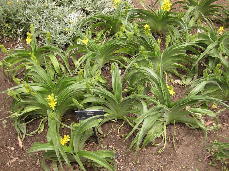 File:1280px-IMG 7161 hunt09jun.jpg