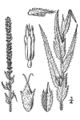 Thumbnail for version as of 13:20, 28 April 2007