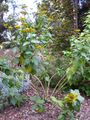Thumbnail for version as of 10:35, 29 April 2025