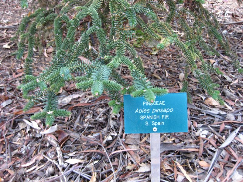 File:IMG 2620 ucla09.jpg