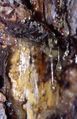 Thumbnail for version as of 07:38, 23 June 2007