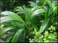 Thumbnail for version as of 06:30, 22 December 2009