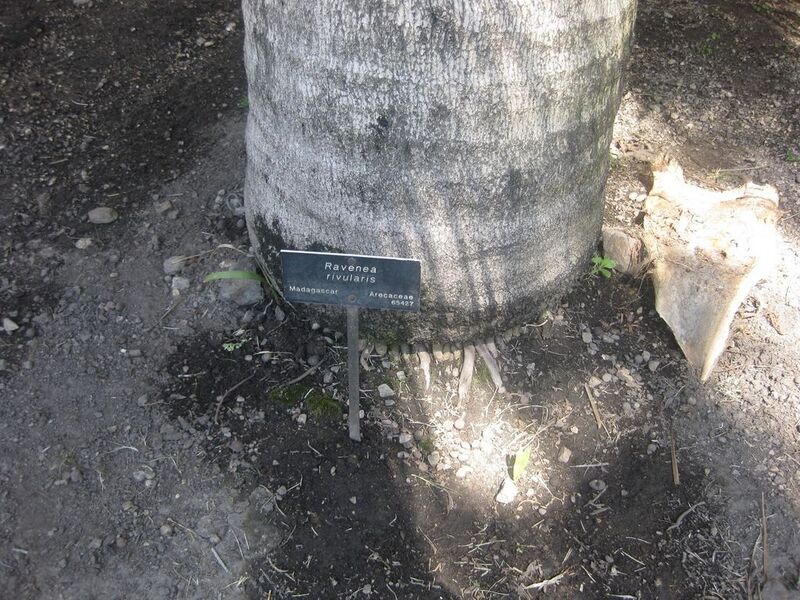 File:1024px-IMG 2093 hunt0903.jpg