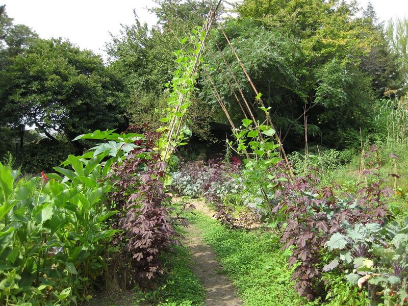 File:1280px-IMG 0610 bbg09.jpg