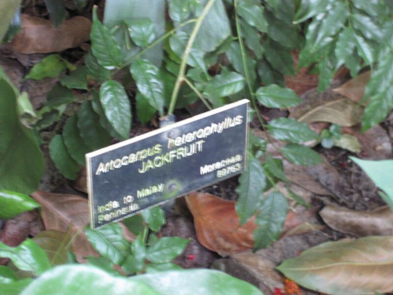 File:1280px-IMG 1742 hunt09oct.jpg