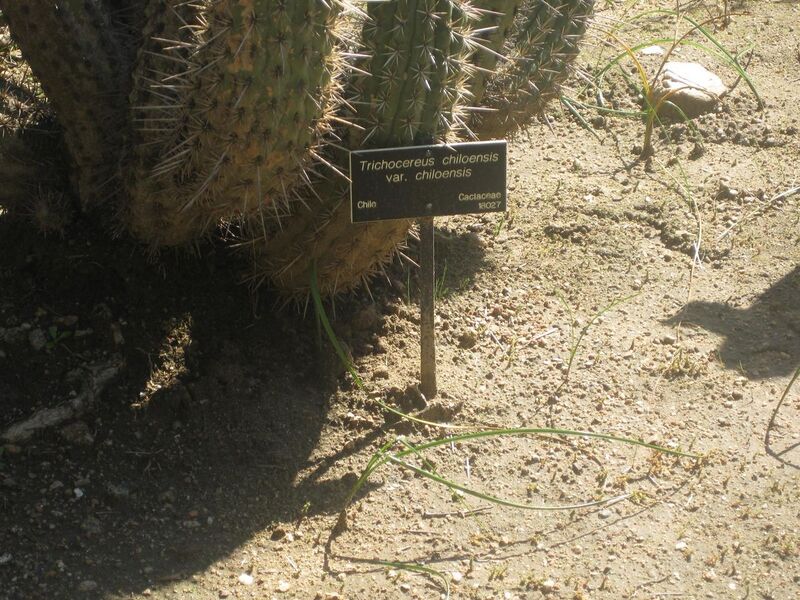 File:1280px-IMG 2391 hunt0903.jpg