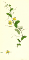 Thumbnail for version as of 09:12, 29 April 2025