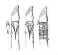 Thumbnail for version as of 02:29, 10 May 2009