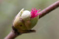 Thumbnail for version as of 21:46, 9 October 2008