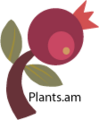 Thumbnail for version as of 10:35, 29 April 2025