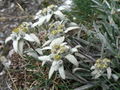 Thumbnail for version as of 07:23, 8 October 2007