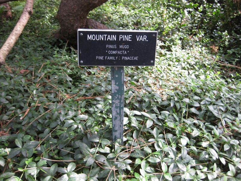 File:1280px-IMG 0694 bbg09.jpg