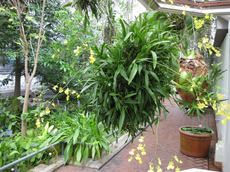 File:1280px-IMG 0991 bbg09.jpg