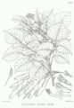 Thumbnail for version as of 10:05, 29 April 2025