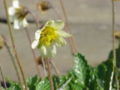 Thumbnail for version as of 04:31, 4 May 2007