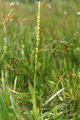 Thumbnail for version as of 13:25, 22 July 2007