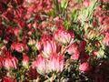 Thumbnail for version as of 09:22, 29 April 2025