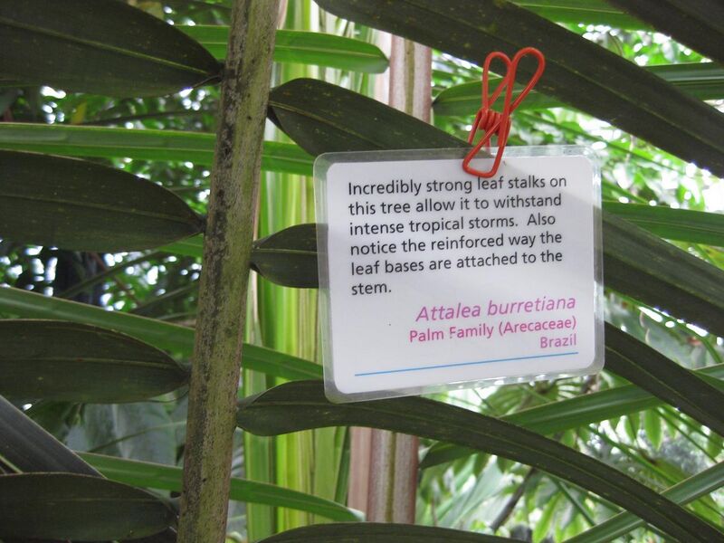 File:1280px-IMG 1772 hunt09oct.jpg