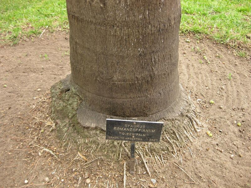 File:1280px-IMG 3952 hunt0904.jpg