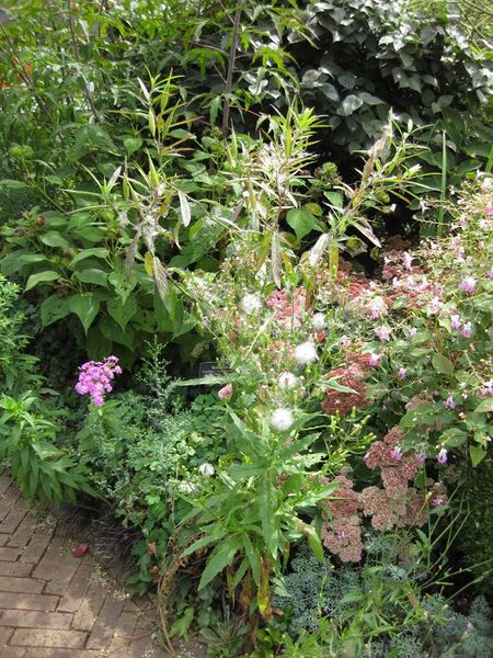 File:576px-IMG 0865 bbg09.jpg