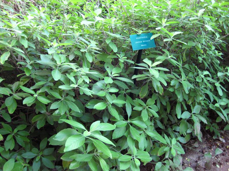 File:E3wj93alogey6xnoeae3h2746sldzvv.jpg