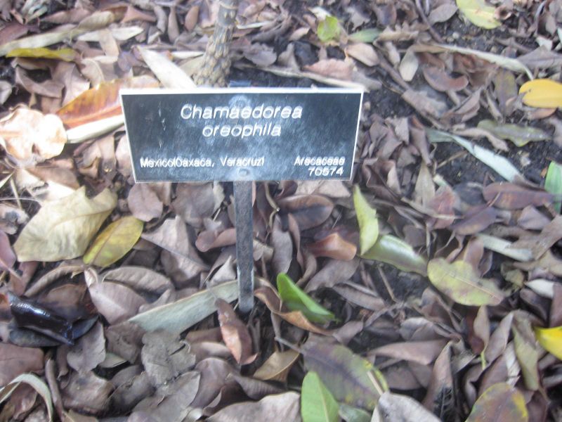 File:IMG 2036 hunt0903.jpg