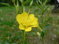 Thumbnail for version as of 04:17, 13 August 2007