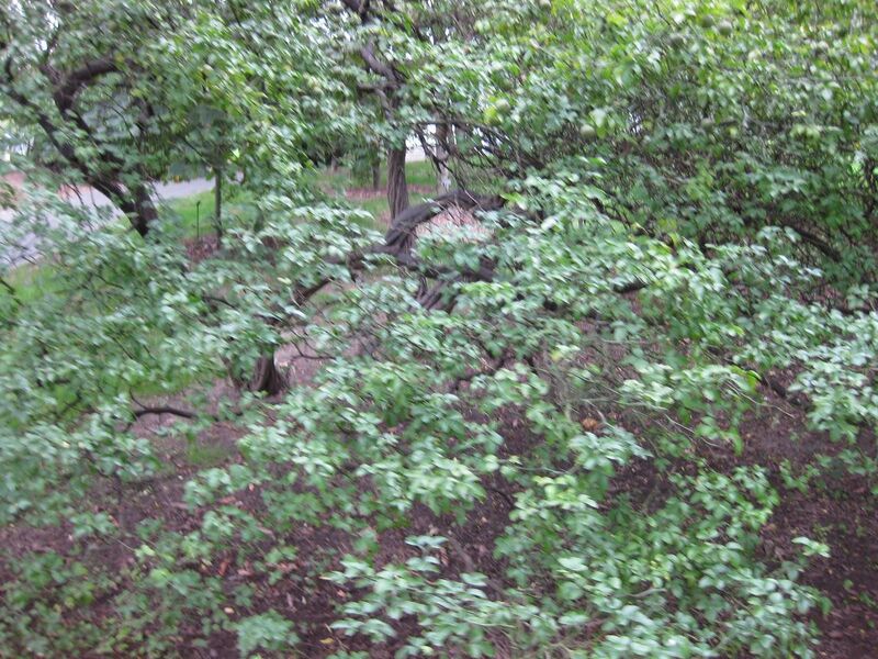 File:1280px-IMG 1321 bbg09.jpg