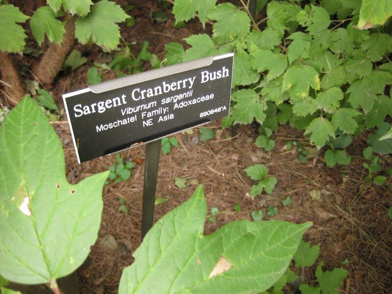 File:1280px-IMG 1389 bbg09.jpg