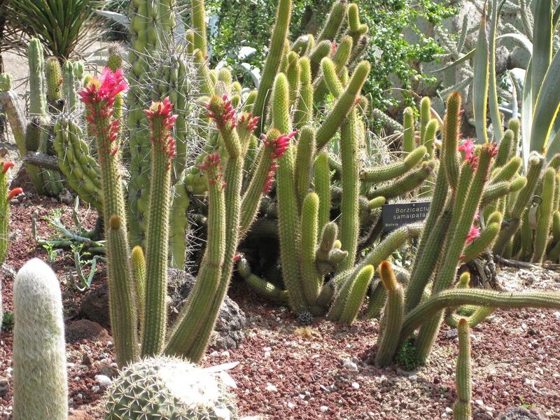 File:1280px-IMG 4251 hunt0904.jpg