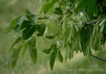 Thumbnail for version as of 13:01, 29 April 2007
