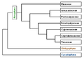 Thumbnail for version as of 09:20, 29 April 2025