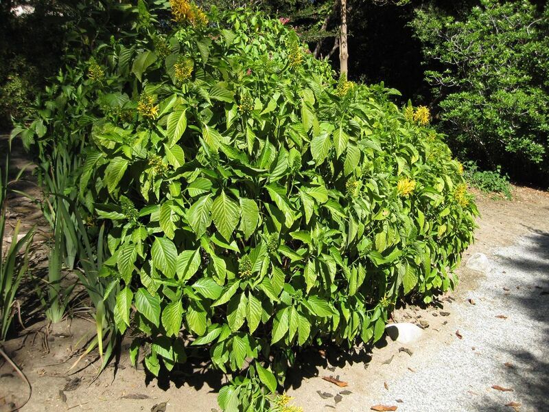 File:1280px-IMG 2000 hunt09oct.jpg