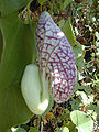 Thumbnail for version as of 09:23, 29 April 2025