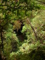 Thumbnail for version as of 09:50, 15 October 2007
