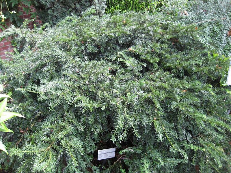 File:1280px-IMG 0661 bbg09.jpg