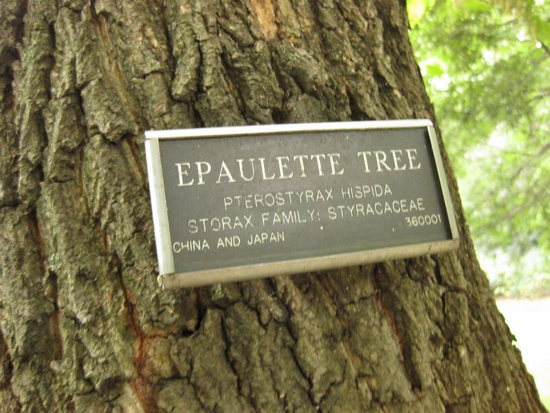 File:1280px-IMG 1364 bbg09.jpg