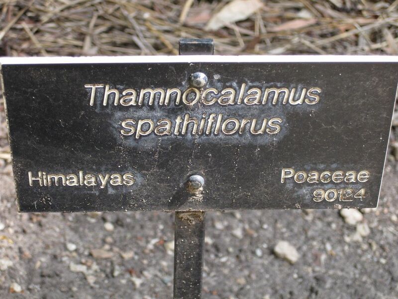 File:1280px-IMG 4203 hunt0904.jpg