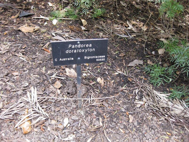 File:1280px-IMG 4632 hunt0904.jpg