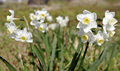 Thumbnail for version as of 06:44, 23 May 2007