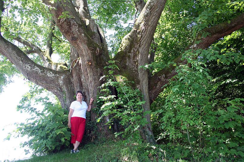 File:1280px-Conjoux JPG01.jpg