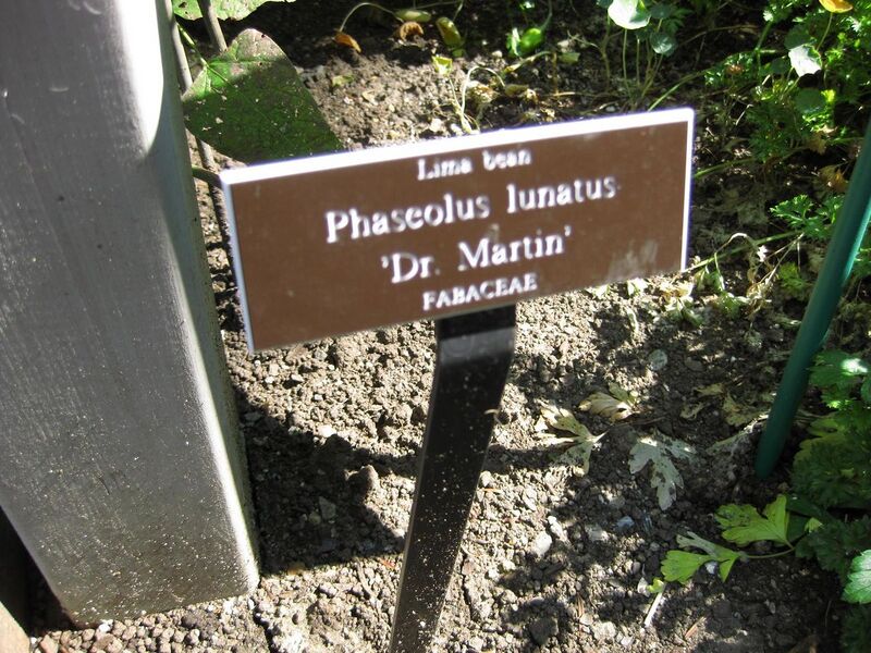 File:1280px-IMG 0378 nybg09.jpg