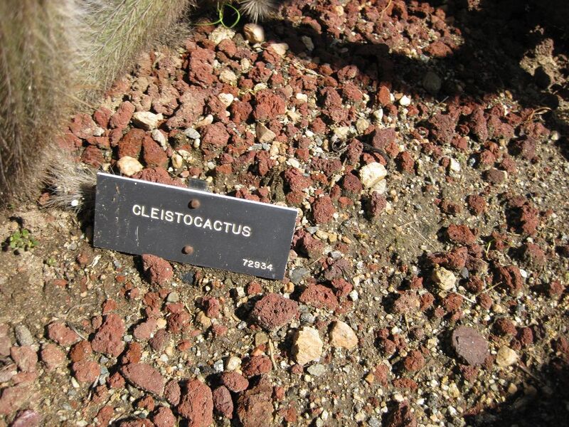 File:1280px-IMG 2487 hunt0903.jpg